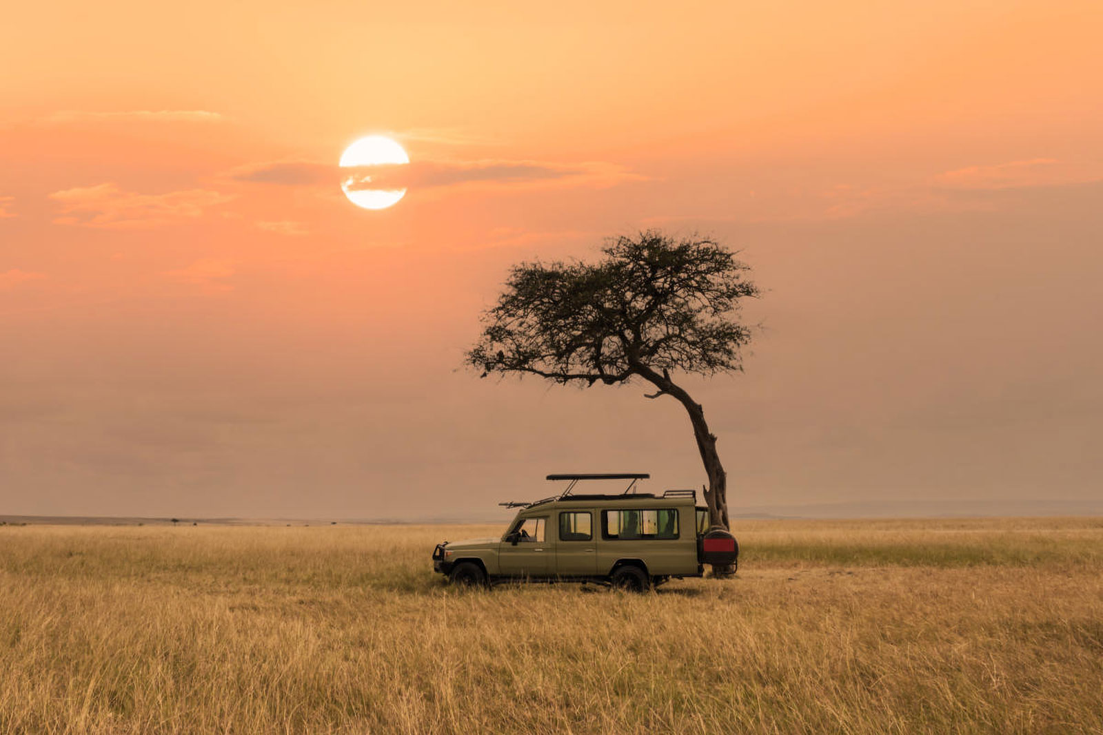 10 day safari in Tanzania