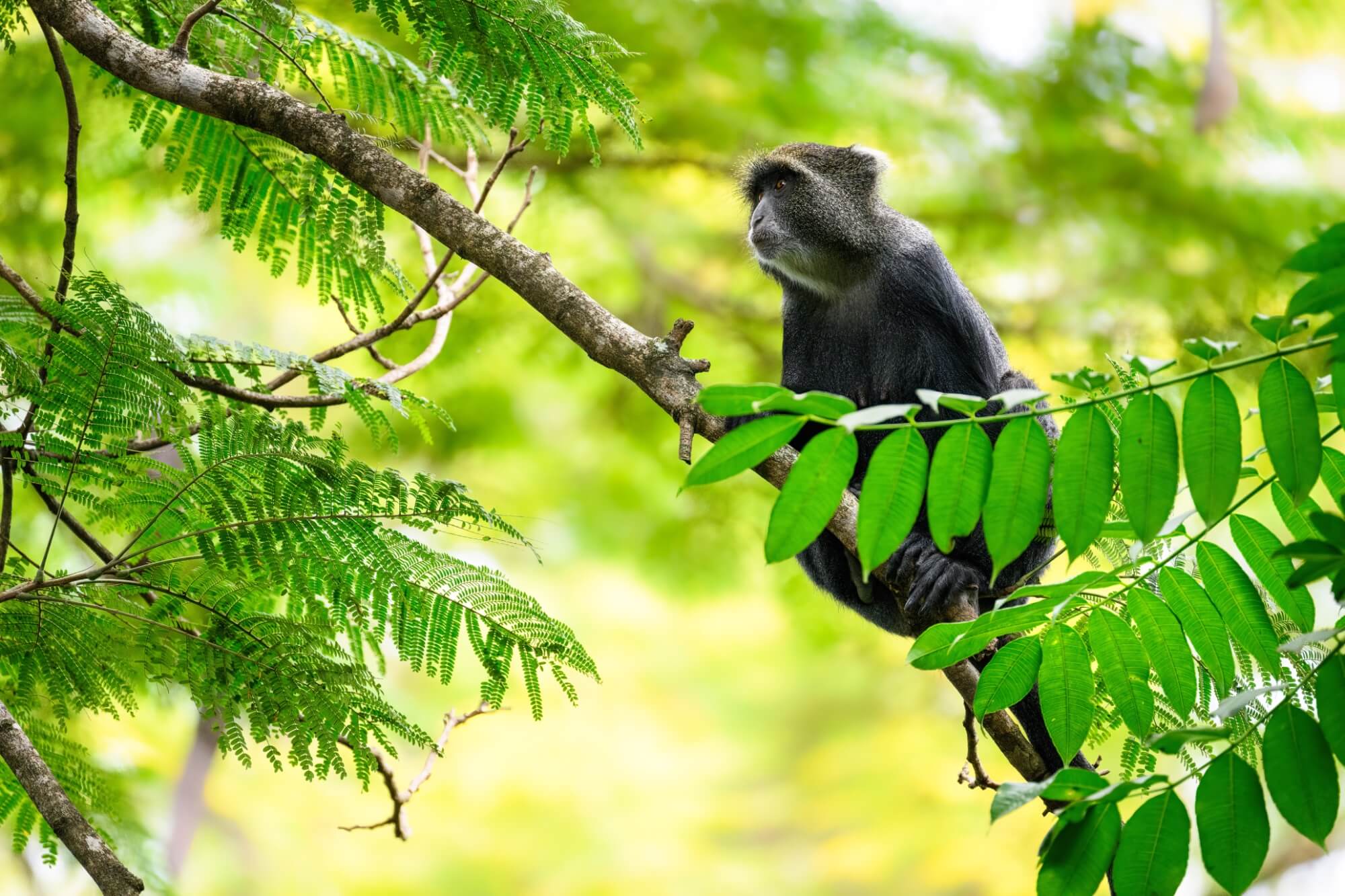 Arusha National Park