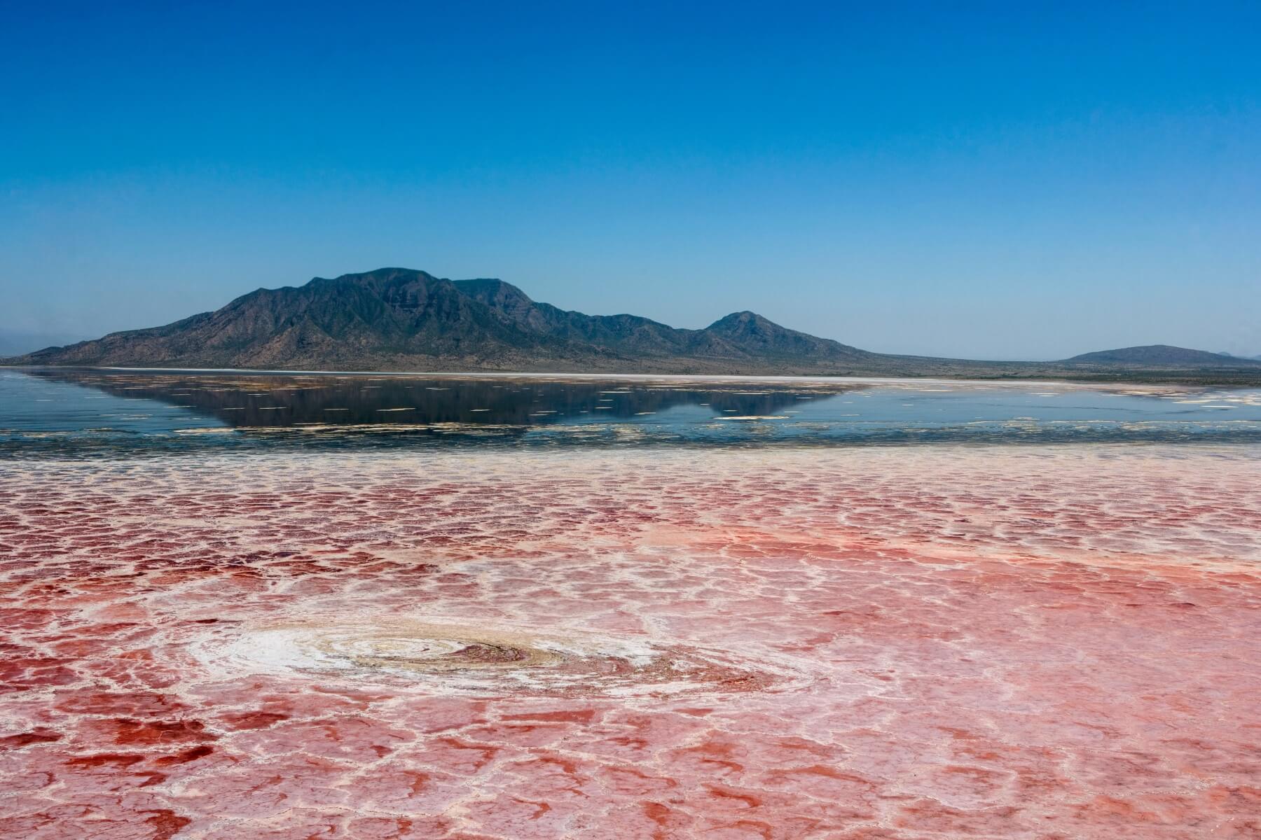 Flamingos and waterfall hike