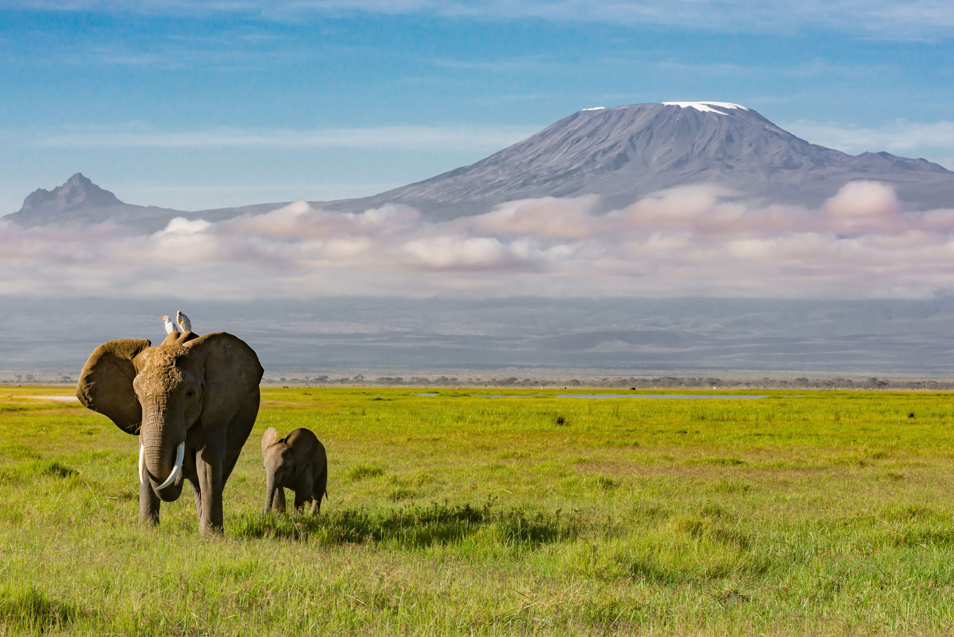 Kilimanjaro Tanzania