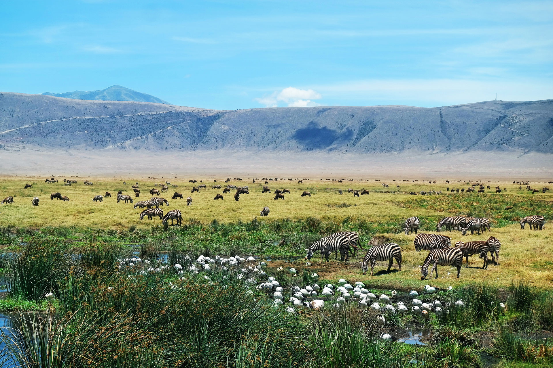 Ngorongoro Conservation Area