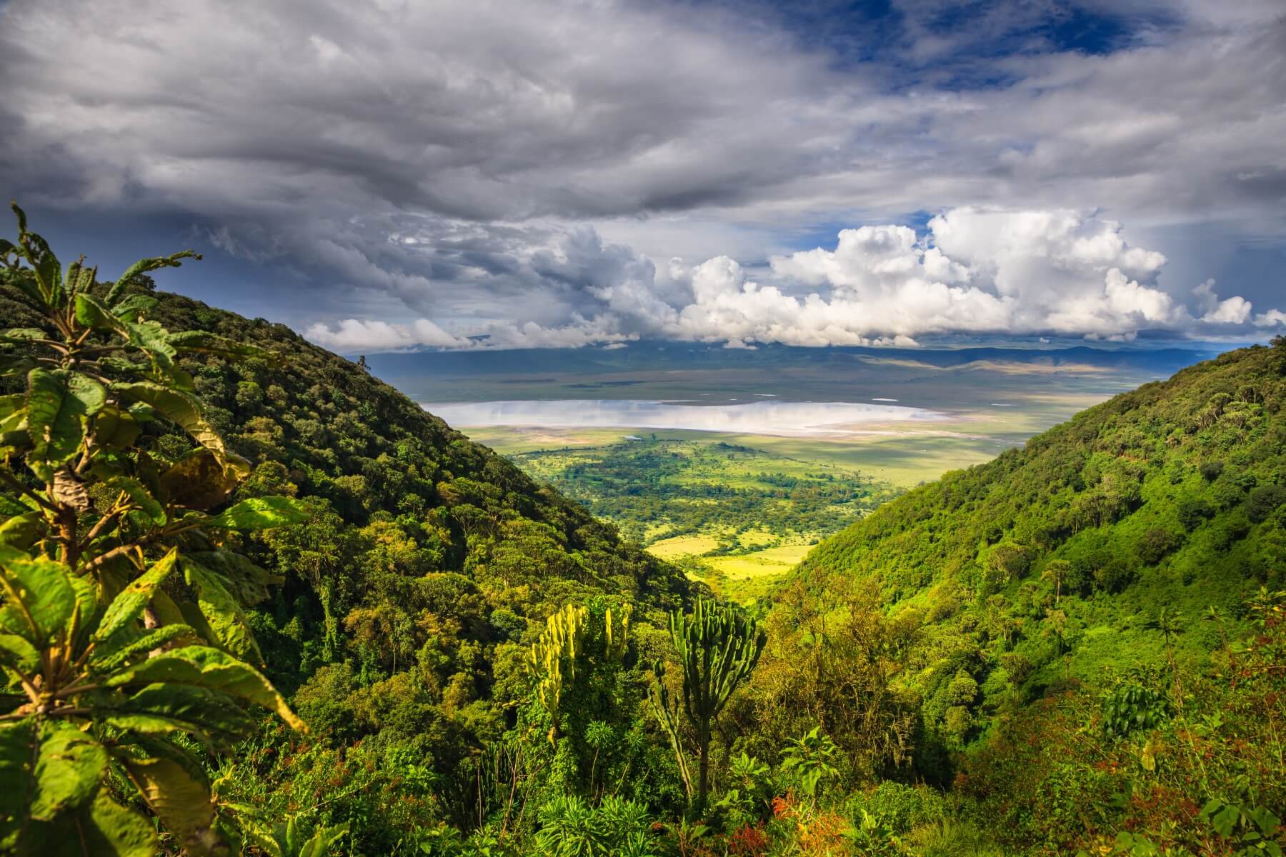 Ngorongoro - The Paradise