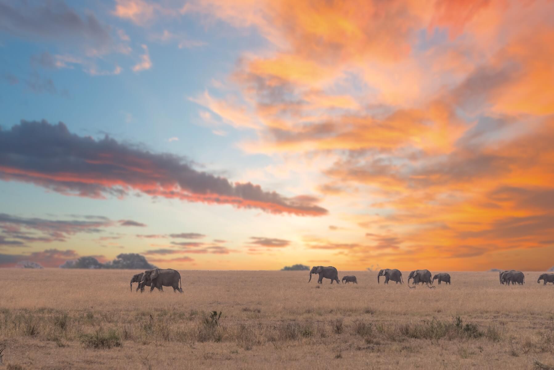 Beautiful Tarangire National Park
