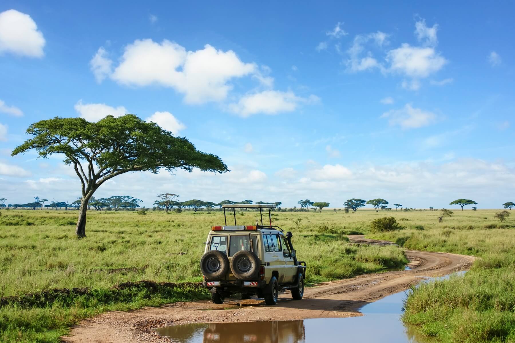 Enjoy Serengeti