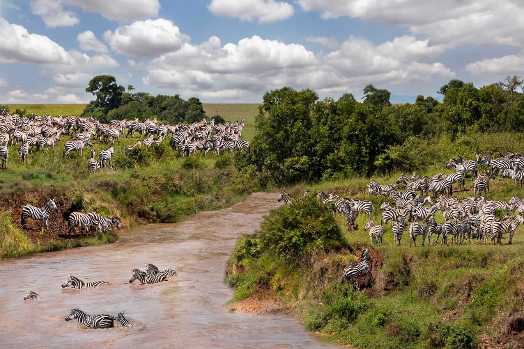 Explore Mara River
