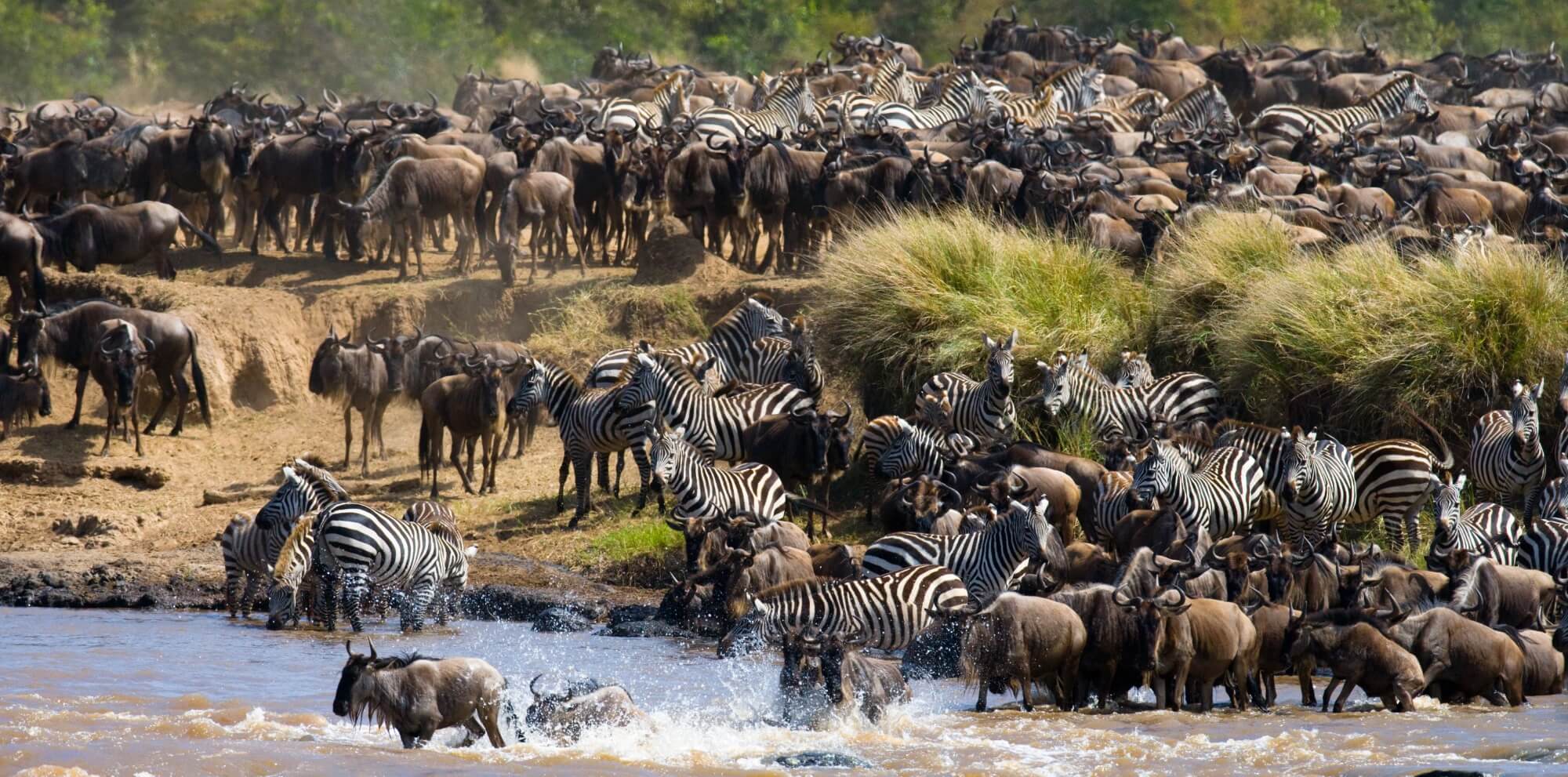 Lake Manyara