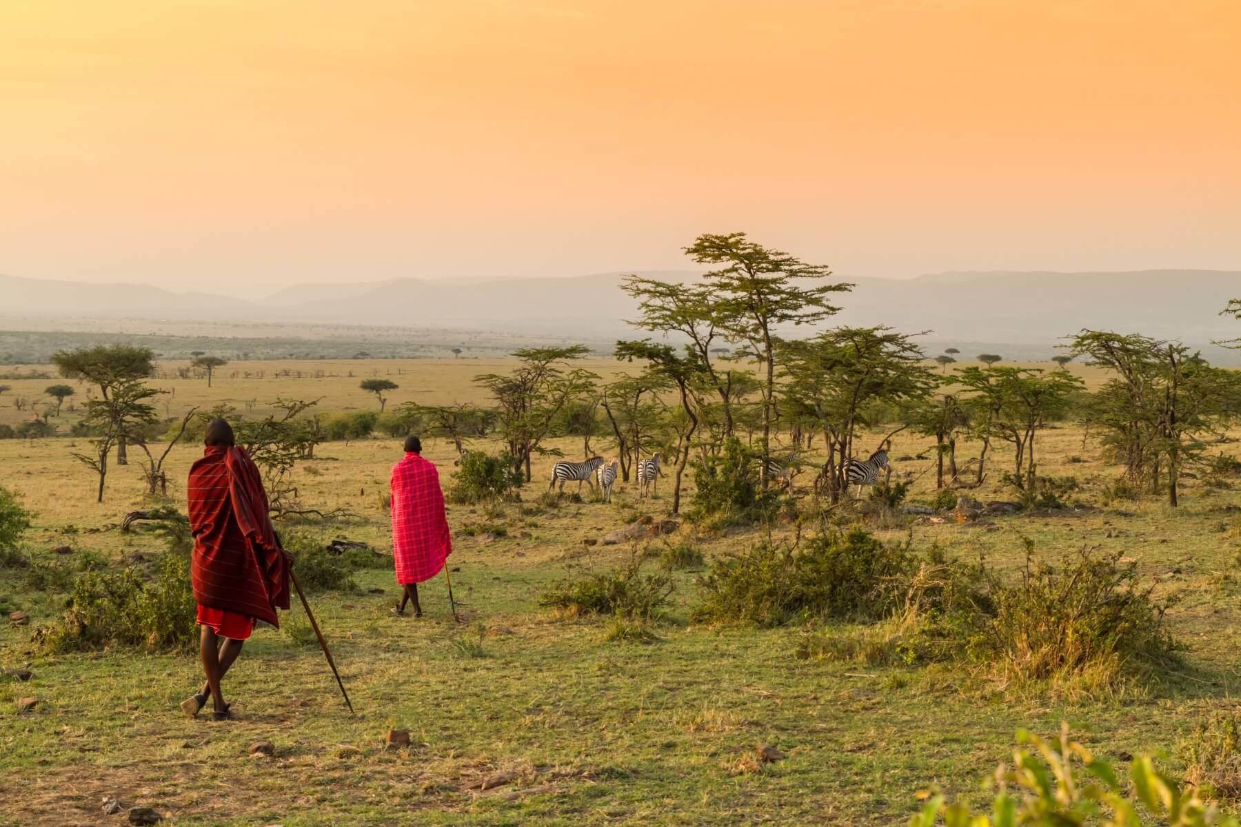 Masai Culture