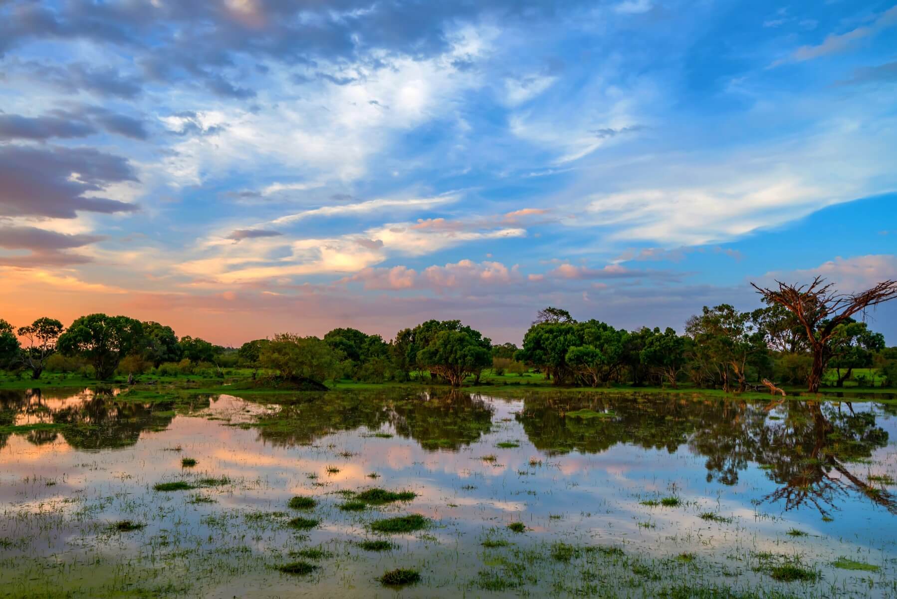 Welcome to safari in Tanzania