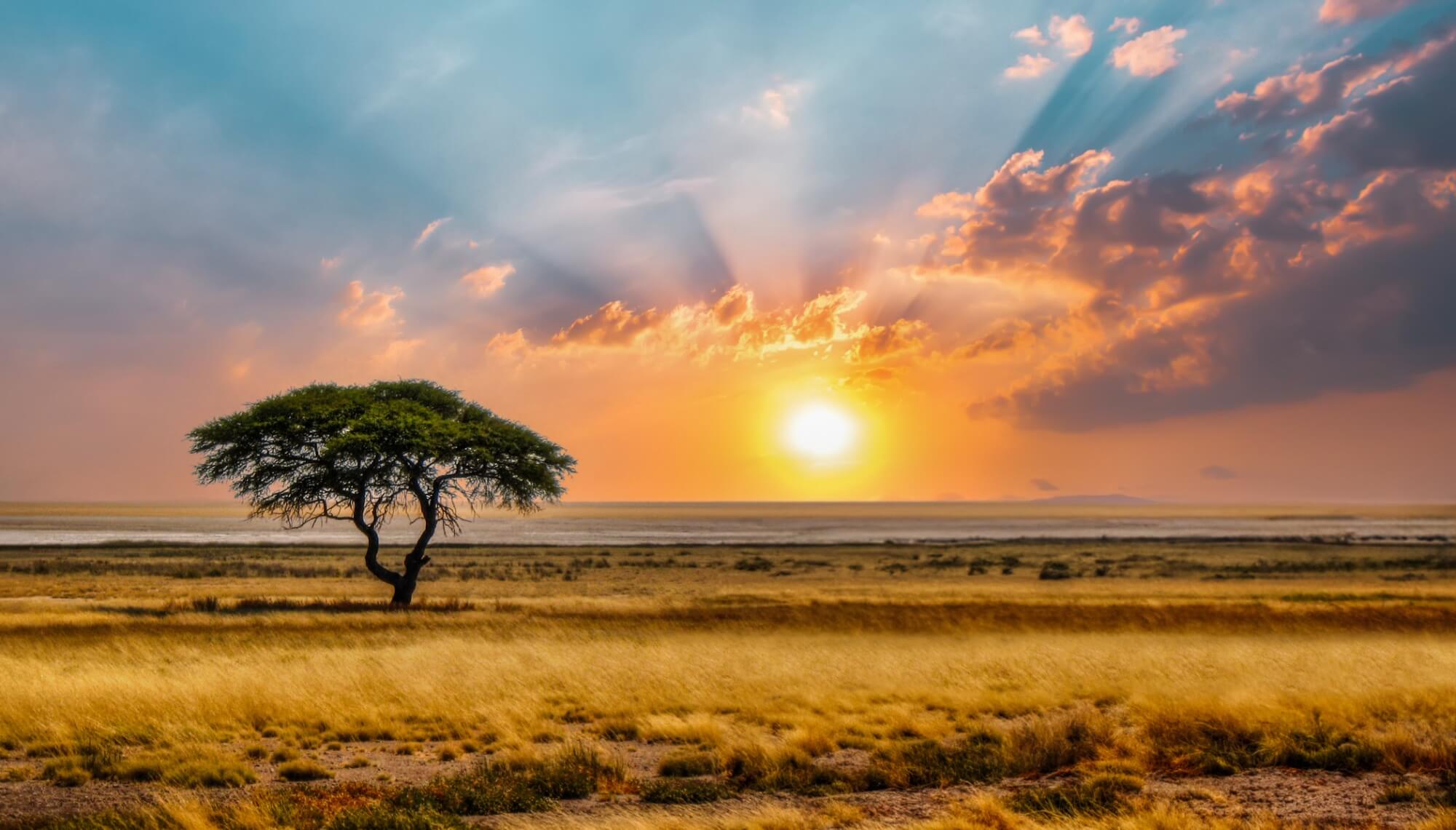 Welcome to Tanzania